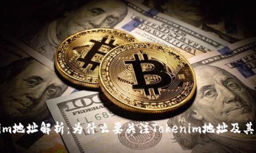 Tokenim地址解析：为什么要关注Tokenim地址及其重要性