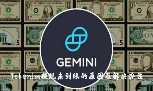 Tokenim提现未到账的原因及解决办法