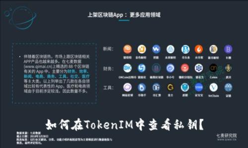 如何在TokenIM中查看私钥？