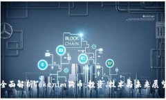 全面解析Tokenim狗币：投资