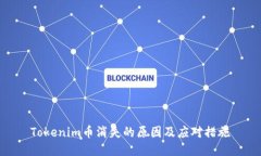 Tokenim币消失的原因及应对