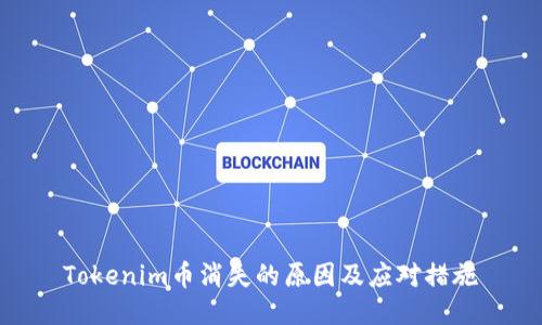 Tokenim币消失的原因及应对措施